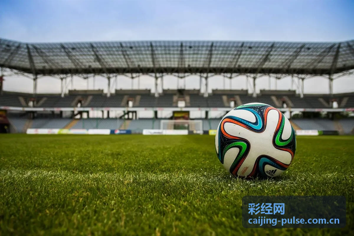 彩经网冷热号分析界面展示